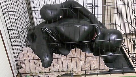 Trapped In Rubber Bitchsuit & Cage :: Latex Cage Sex: Dominant Femdom Scene - free porn video